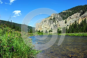 Distant Flyfisherman