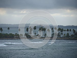 Distant island with coconut trees at Puerto Rico