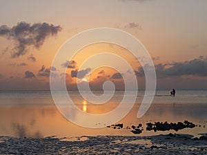 A lone figure gathers seaweed at dawn and low tide, Jambiani, Zanzibar photo