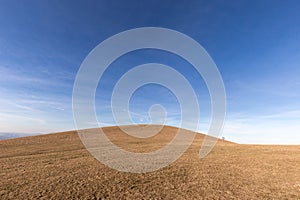 A distant, loney tree on a bare hill, beneath a blue sky with white clouds