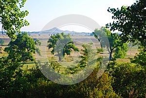 Distant Mountain Across a Field