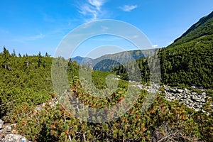 Distant mountain cores in slovakia Tatra mountain trails