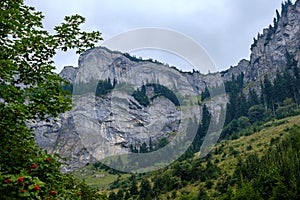 Distant mountain cores in slovakia Tatra mountain trails