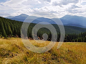 Distant mountain range and layer of clouds on the valleys. Carpathians.Ukraine