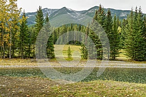 Distant mountain range with pine trees and a brook in the foreground