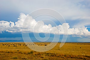 Distant Rainstorm