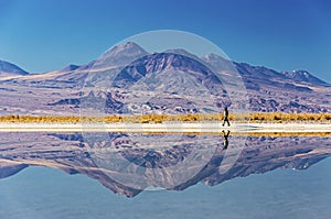 Distant reflections photo