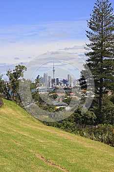 Distant View of Auckland City
