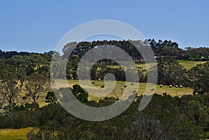 Distant view of bale of hays