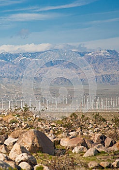 Distant View of Coachella Valley Wind Farm