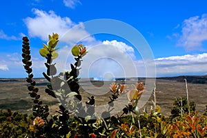 A distant view of the HalemaÊ»umaÊ»u in Volcanoes National park