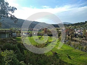 Distant view of lush green terraced rice field