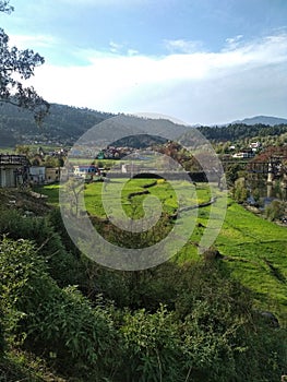 Distant view of lush green terraced rice field