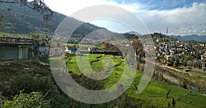 Distant view of lush green terraced rice field near village