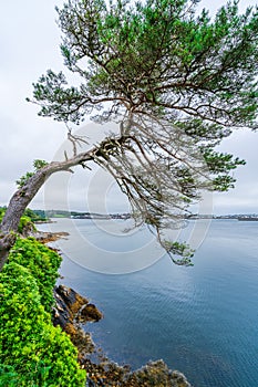 Distant view of Stornoway across the bay photo