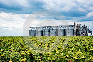 Distant view of sunflower oil refinery in a field