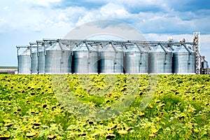 Distant view of sunflower oil refinery in a field