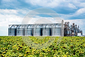 Distant view of sunflower oil refinery in a field