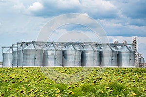 Distant view of sunflower oil refinery in a field