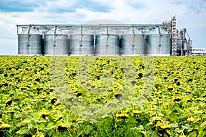 Distant view of sunflower oil refinery in a field