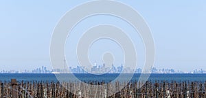 A Distant View of the Toronto Skyline from a Vineyard