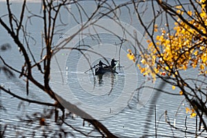 Kerkini Lake in Greece photo