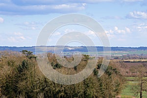 Distant View of the Whipsnade White Lion Bedfordshire England photo