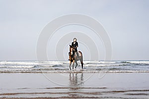 distant view of woman riding horse on sandy beach with ocean