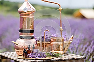 Distillation of lavender essential oil and hydrolate. Copper alambic for the flowering field.