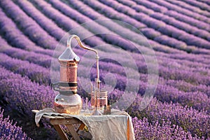 Distillation of lavender essential oil and hydrolate. Copper alambic for the flowering field.