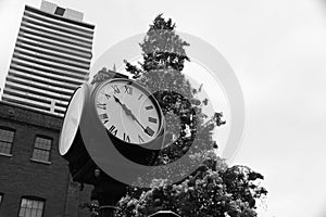 Distillery District Clock In Front of Christmas Tree