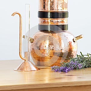 Distilling apparatus alembic with esential oil flowers.