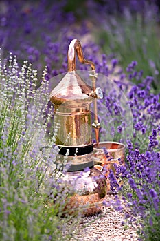 Distilling apparatus alembic with esential oil between of lavender field lines