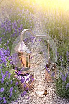 Distilling apparatus alembic with esential oil between of lavender field lines. Illustration of essetial oil