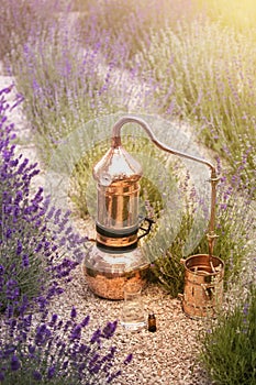 Distilling apparatus alembic with esential oil between of lavender field lines. Lavender flower field, illustration of