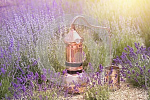 Distilling apparatus alembic on the ground with esential oil between of lavender field lines