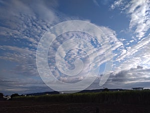 A distinctive snapshot of a beautiful panoramic view green fields and a pattern of clusters of white clouds in sunlight