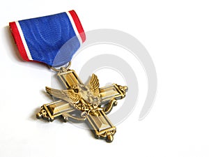 Distinguished medal photo