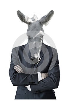 Distinguished person with donkey face-