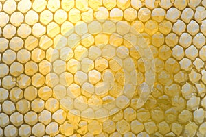 Distorted honeycombs, half filled with honey