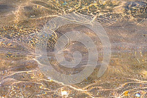 Distorted texture of sand under water. Transparent water ripples, sand waves and glare of sunlight. Seabed background