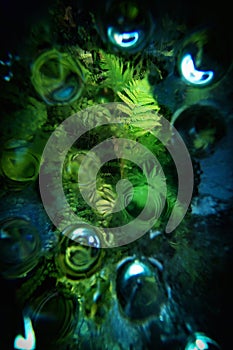 Distorted view into a haunted fountain, covered with a glass plate, dew drops, ferns and moss, enchanted drops of water