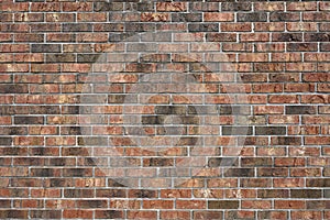 A distortion-free, varigated-color brick wall