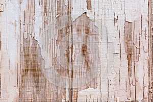 Distressed cracked weathered white and brown wood background