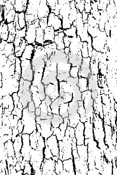 Distressed halftone grunge black and white vector texture -old wood bark texture photo