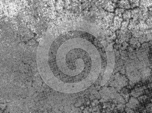 Distressed halftone grunge black and white vector texture -texture of concrete floor background for creation abstract vintage.