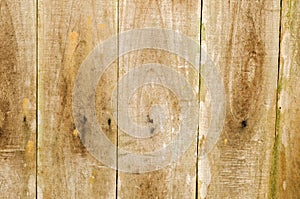 Distressed Old Wood Plank Boards Background