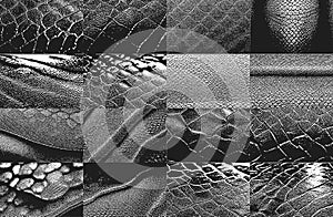 Distressed overlay texture of crocodile or snake skin leather, grunge background