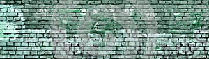 Distressed Painted Brick Wall Background Isolated Design