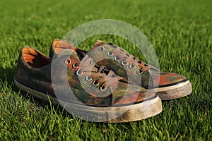 Distressed plimsolls resting on a vibrant green lawn under soft sunlight photo